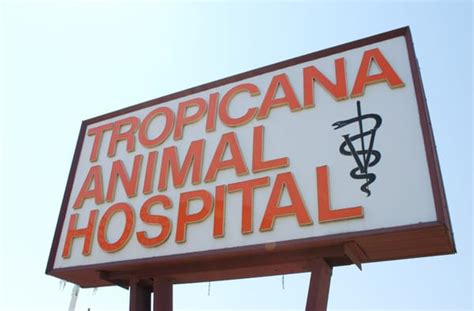 Tropicana animal hospital - Published: Jan. 31, 2024 at 3:37 PM PST. LAS VEGAS, Nev. (FOX5) - A Henderson veteran’s emotional support dog has finally been found, more than a month after it went missing. The dog is now ...